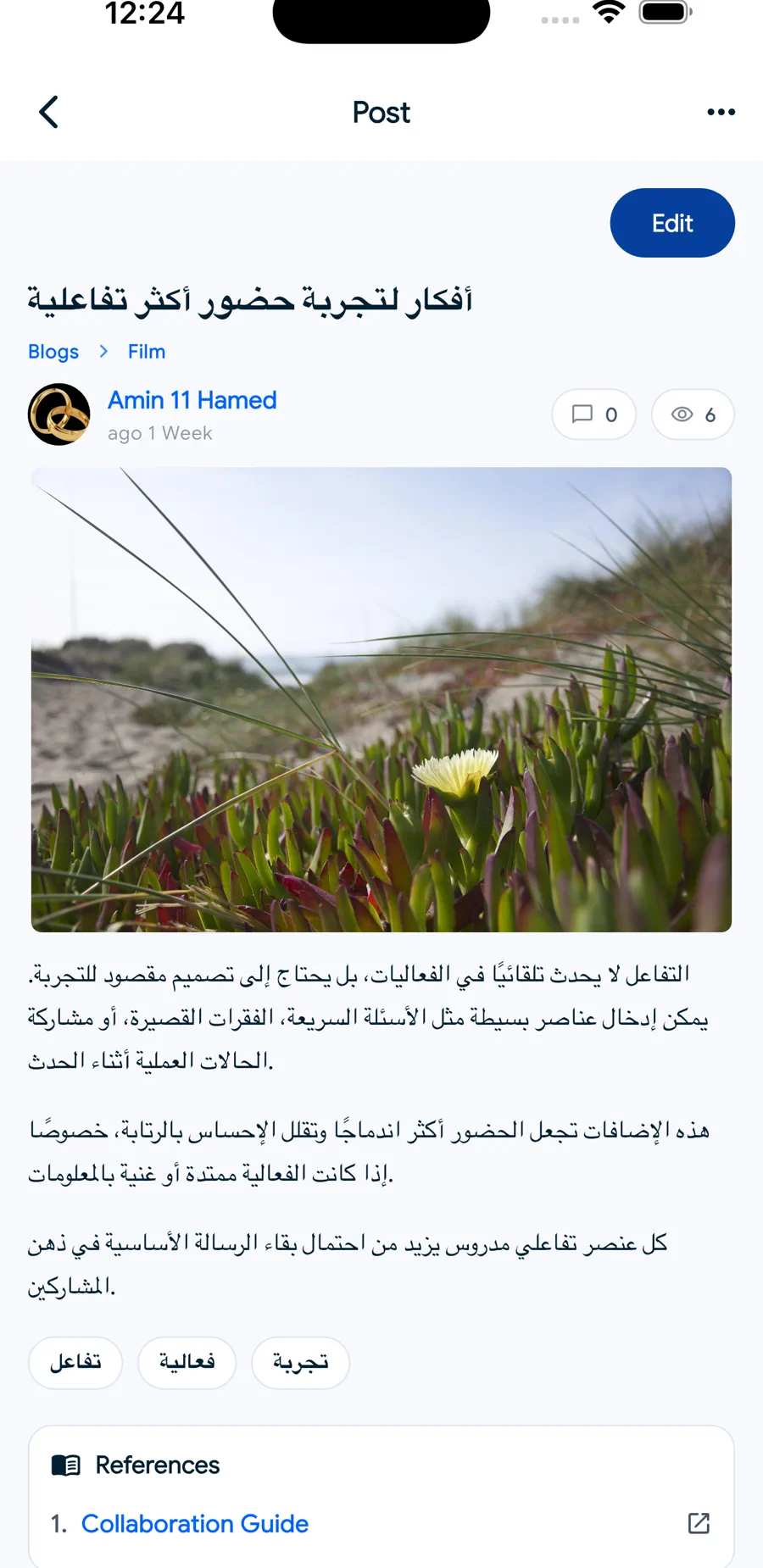 LumaQode app preview 20